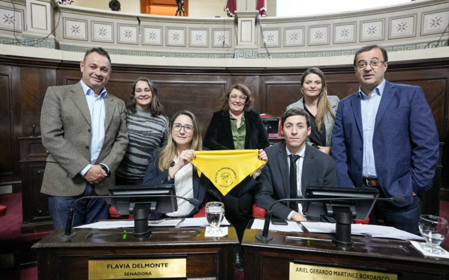 Provincia: media sanción al proyecto que garantiza derechos a personas con endometriosis