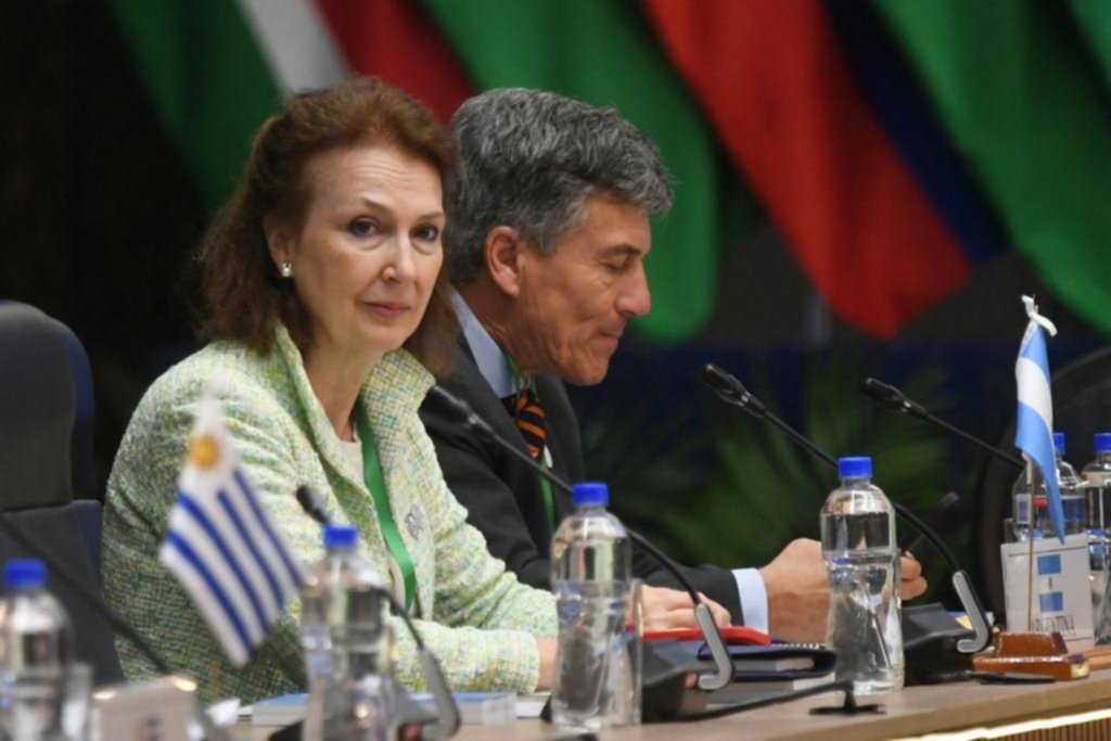 “El Mercosur necesita un shock de adrenalina”