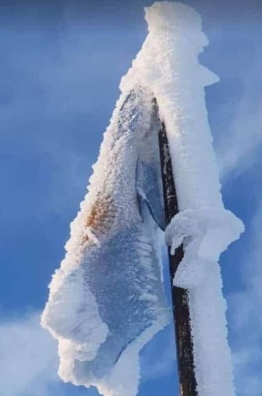 En qué zonas de la Provincia de Buenos Aires puede caer nieve este martes 9 de julio