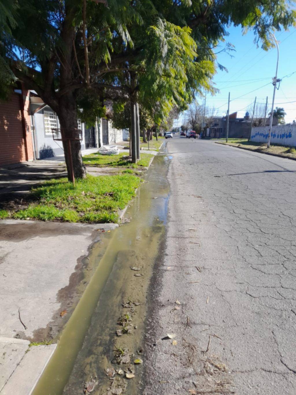 Reclamo en Tolosa por el desborde de la red cloacal