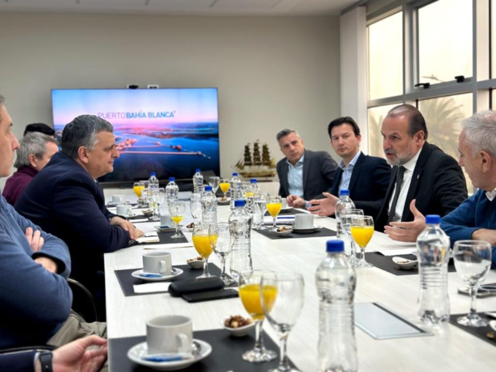 Más presión para que la Provincia adhiera al RIGI que impulsa Milei