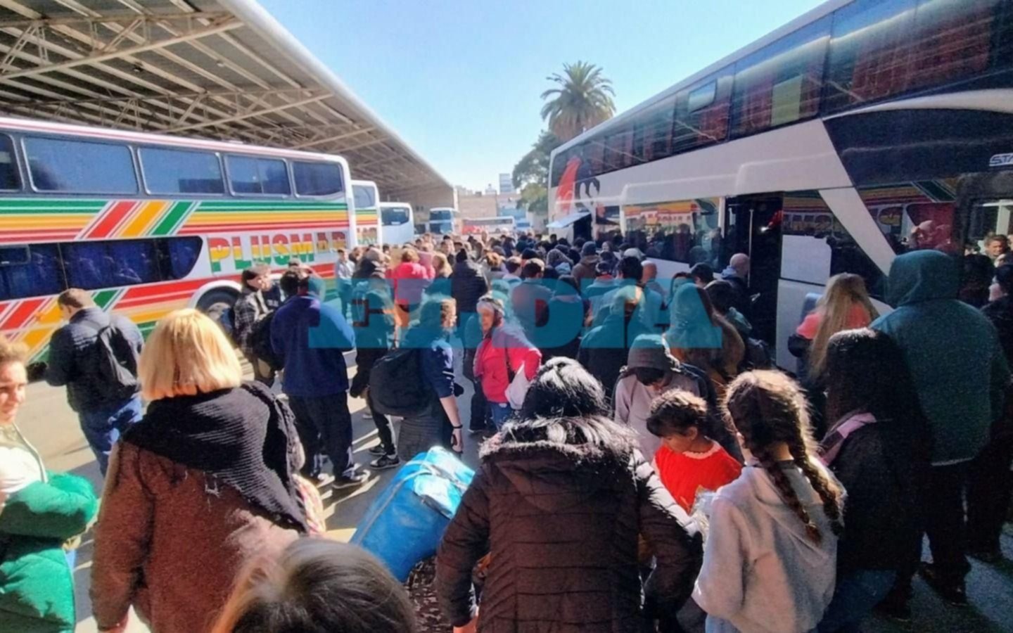 En La Plata, la Terminal "explotada" en el comienzo de las vacaciones