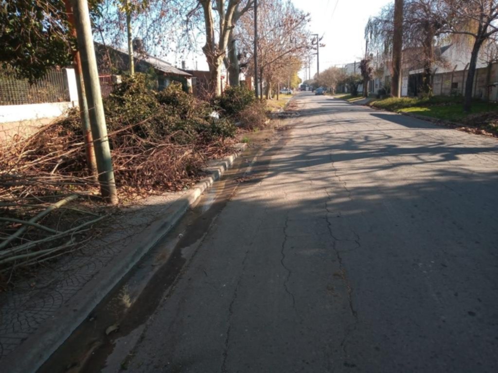 Pasaron los podadores, pero quedaron las pilas de ramas