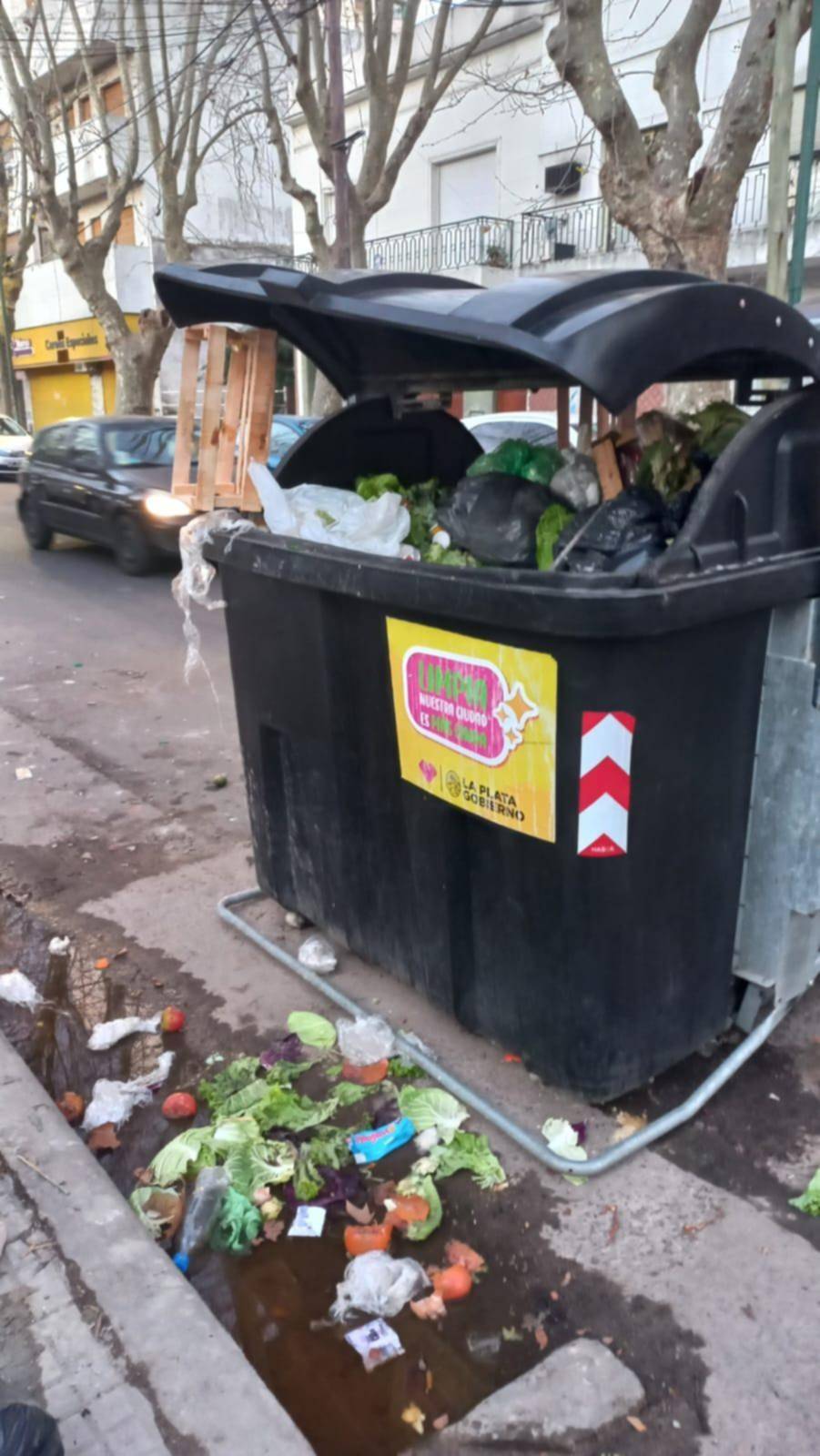 Reclaman que con un solo contenedor no alcanza