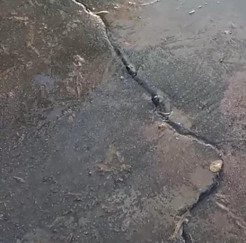 Preocupación por pérdida de agua en El Mondongo