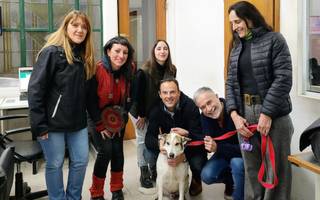 Proteccionistas de La Plata dialogaron con La Redonda sobre las castraciones