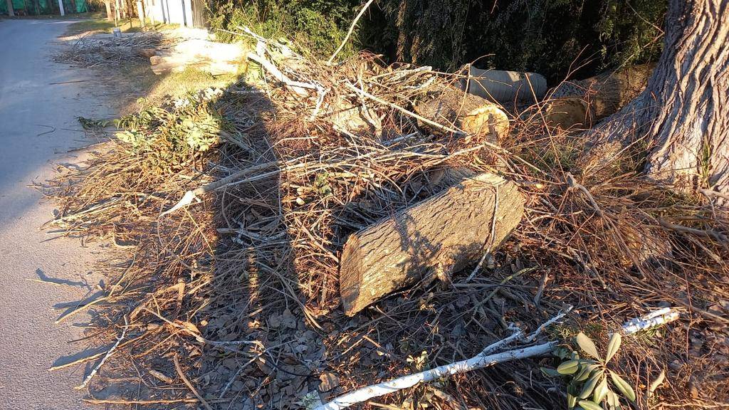 Ramas y troncos frente a una casa en City Bell