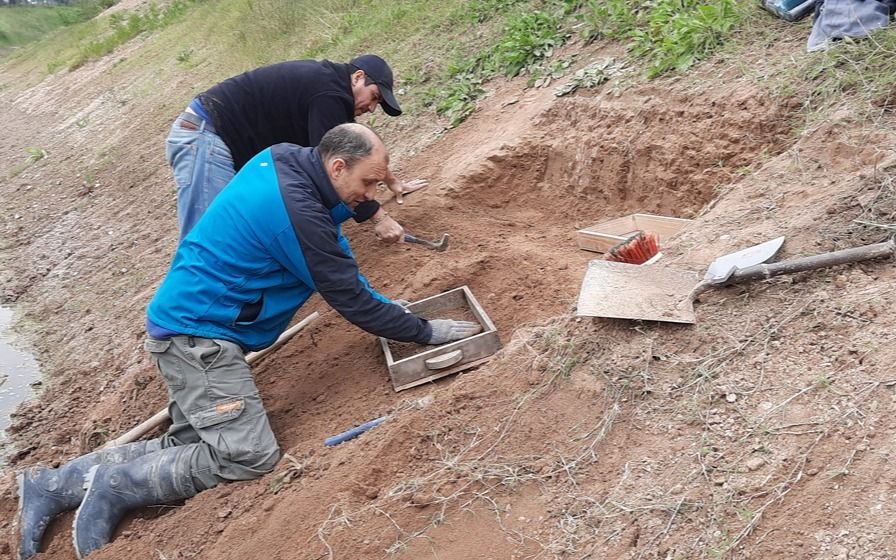 Científicos de La Plata hallaron restos de un gliptodonte con marcas de origen humano