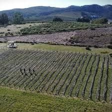 Tandil logró la Indicación Geográfica
