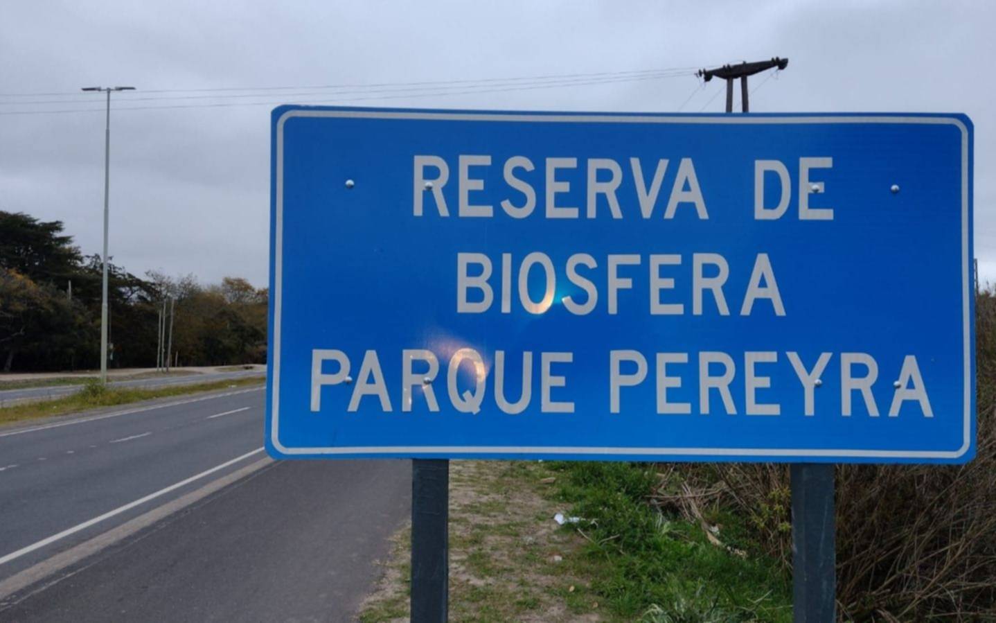 Nuevo reclamo por el Parque Pereyra Iraola