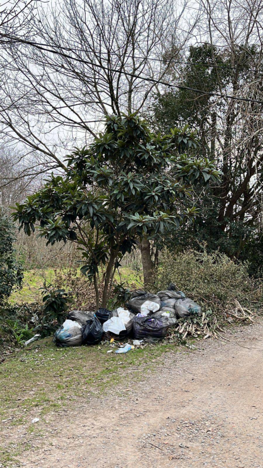 Las bolsas de residuos se acumulan en 16 y 486