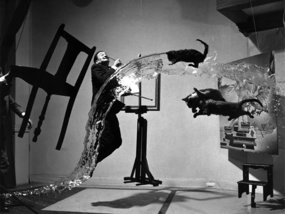 El arte y los gatos: un racconto por los lienzos de la belle époque al surrealismo