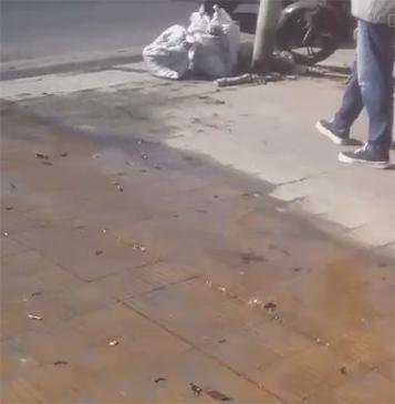 Dos meses con un caño roto en 122 entre 34 y 35