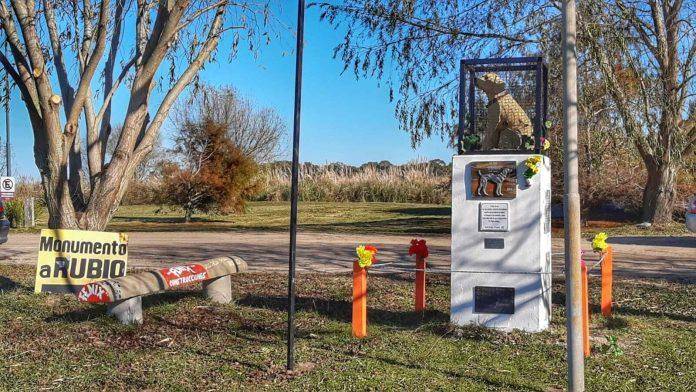 Quieren declarar el Día contra el Maltrato Animal