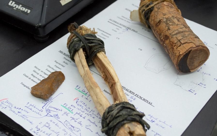 Investigadores platenses revelan aspectos inéditos de cazadores recolectores de hace 5 mil años