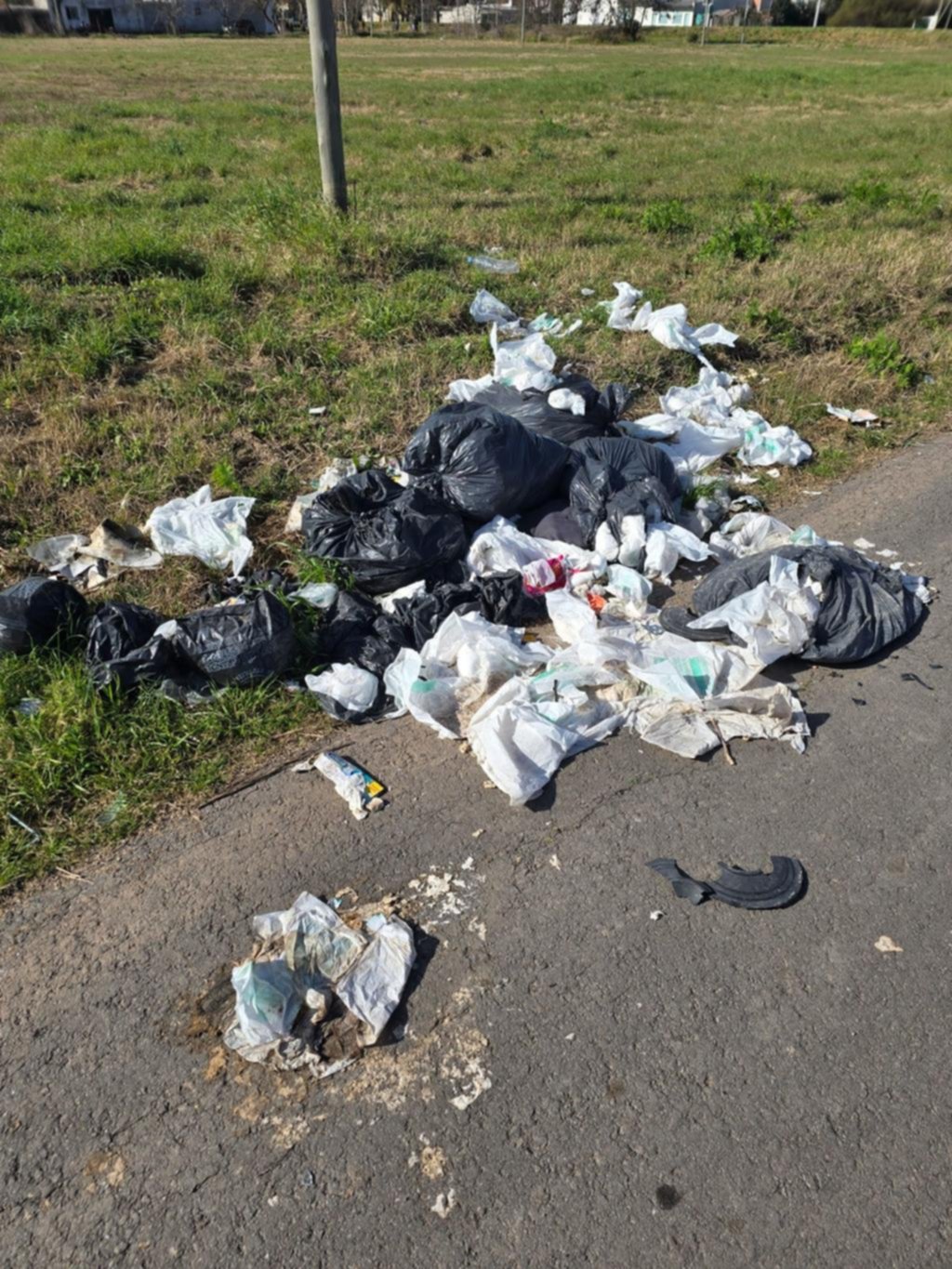 En Hernández dicen que “los tapa la basura”