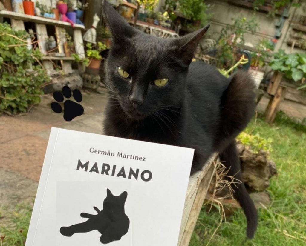 “Mariano”; cuatro historias que giran en torno a un gato negro