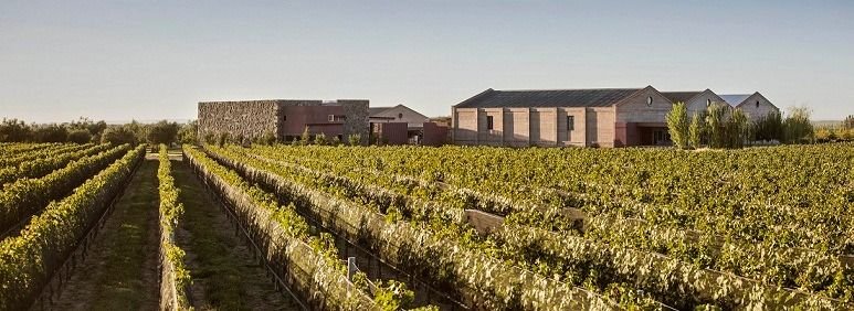El espíritu de La Pachamama se refleja en el vino