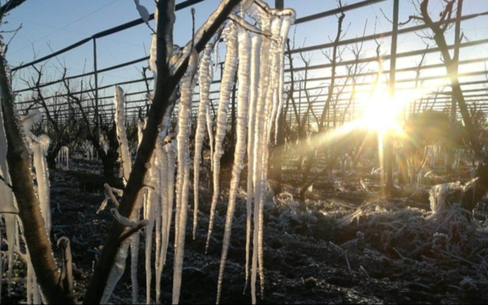 Coronel Suárez, con -8,5ºC, es la ciudad más fría de la provincia de Buenos Aires: ¿Y La Plata?     
