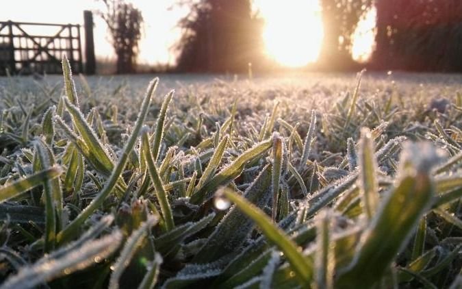 La Plata en "modo Siberia": fue la segunda ciudad más fría de la Provincia y arañó el top 10 en el país