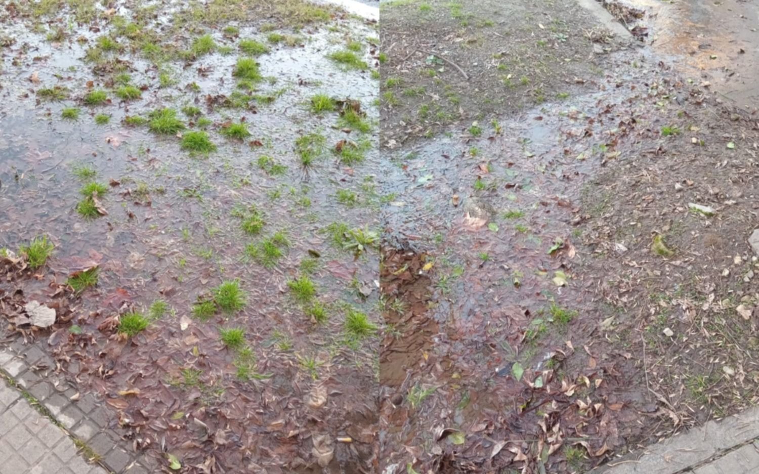 Importante pérdida de agua en Villa Elvira