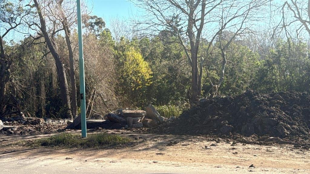 Crece la polémica por el cuidado de Isla Santiago