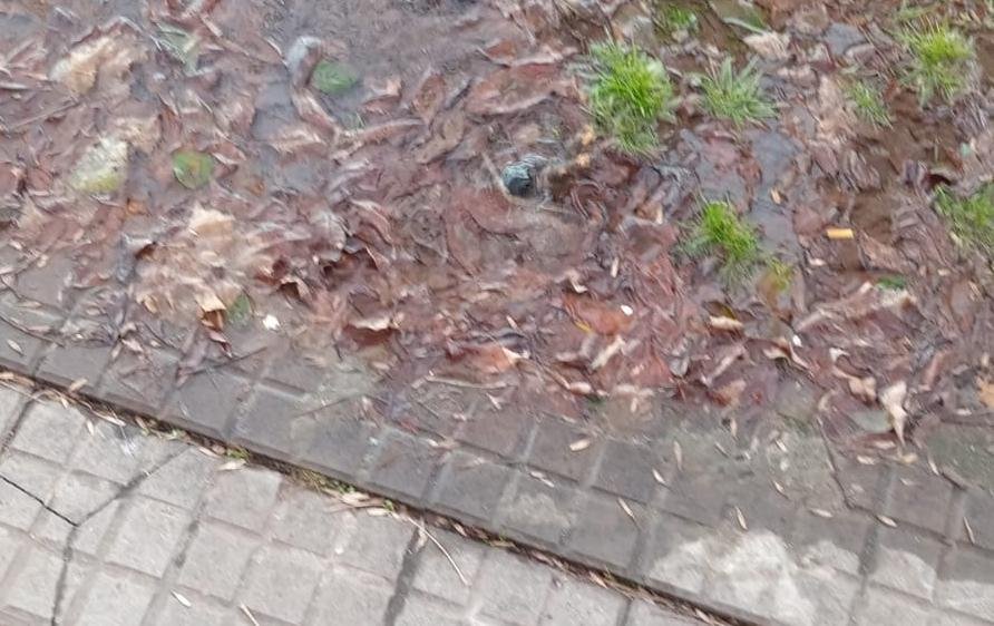 Una pérdida de agua lleva más de dos semanas en Villa Elvira