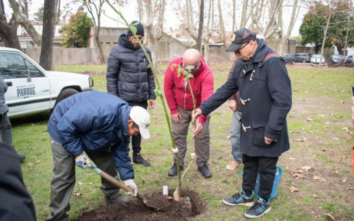 Vecinos  plantan árboles nativos en Parque de la Cervecería 