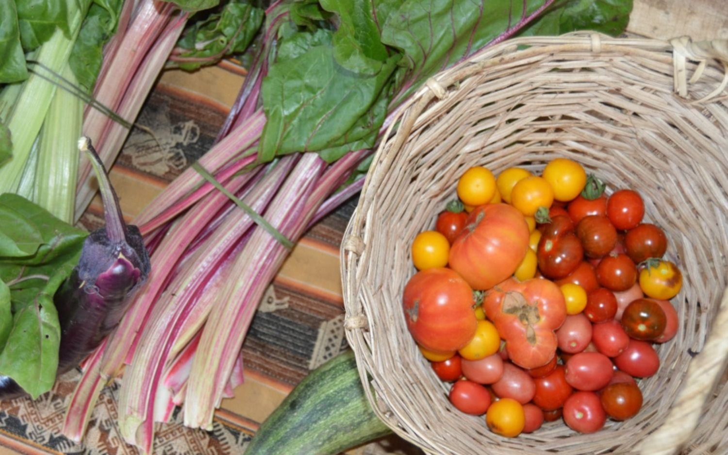 Se viene la Feria Agroecológica Municipal Itinerante en la Estación Meridiano V