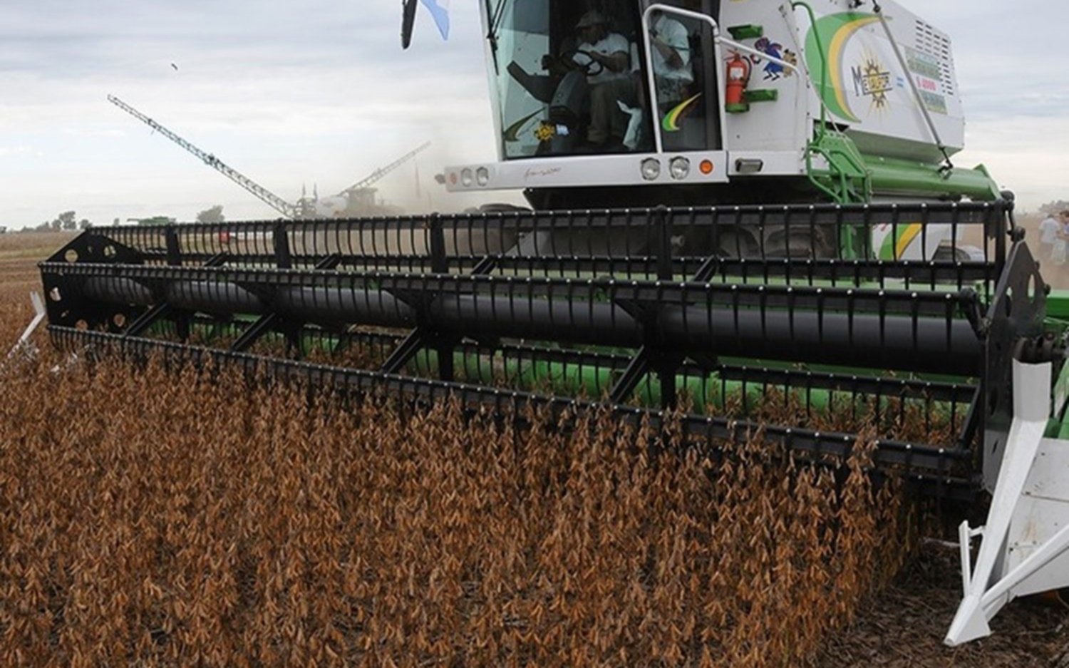 La cosecha nacional de soja alcanzó las 50,3 millones de toneladas