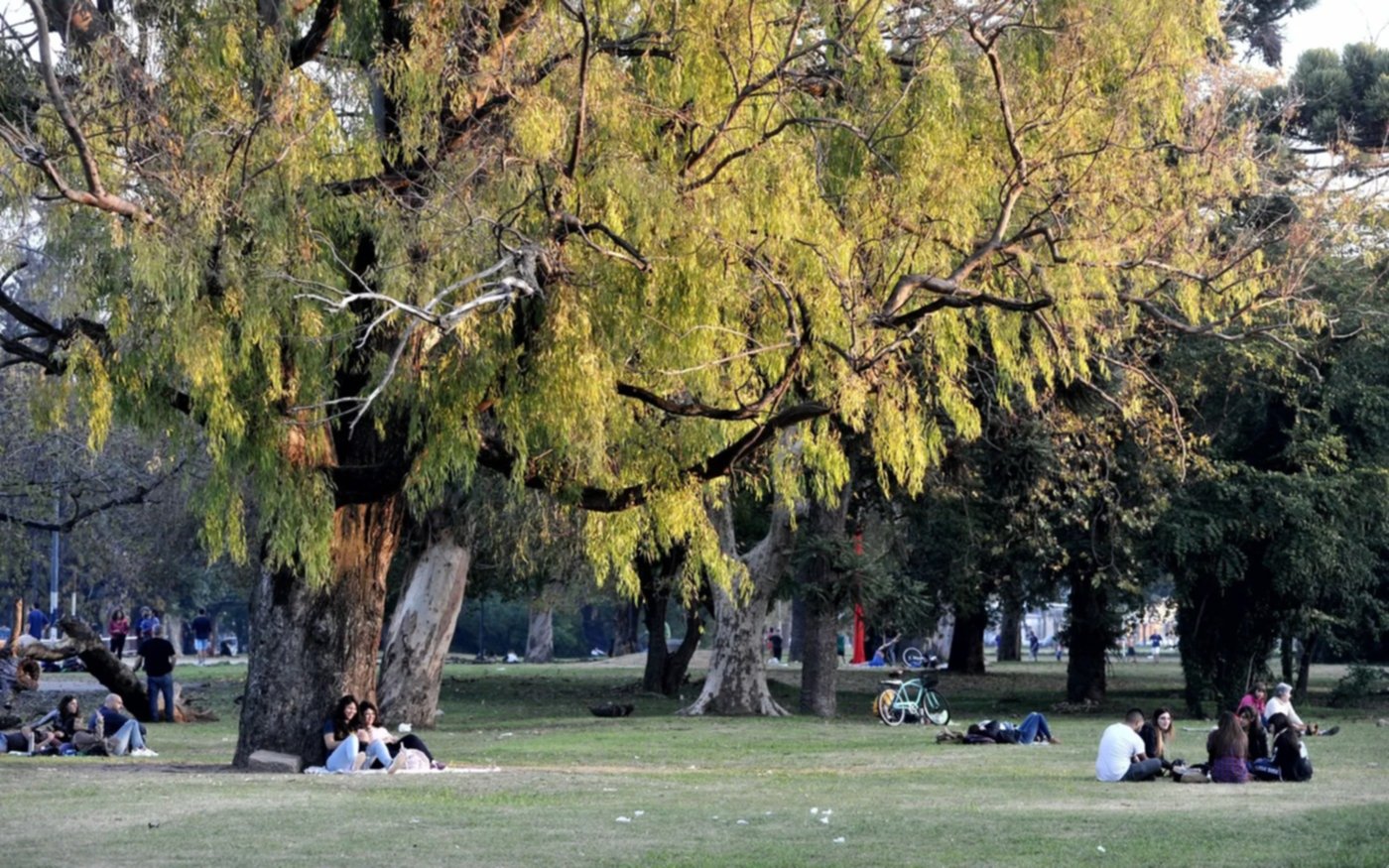 Domingo fresco a la mañana, pero a la tarde sube la temperatura: ¿cómo sigue el tiempo en La Plata?