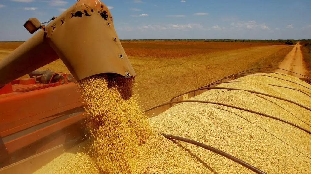 Retenciones: más quejas del campo, con la mira puesta en la rentabilidad