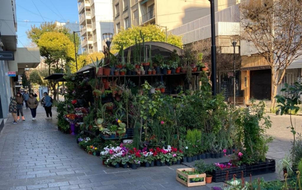 El cinturón verde, en alerta: ante el ingreso de flores de Brasil y Ecuador