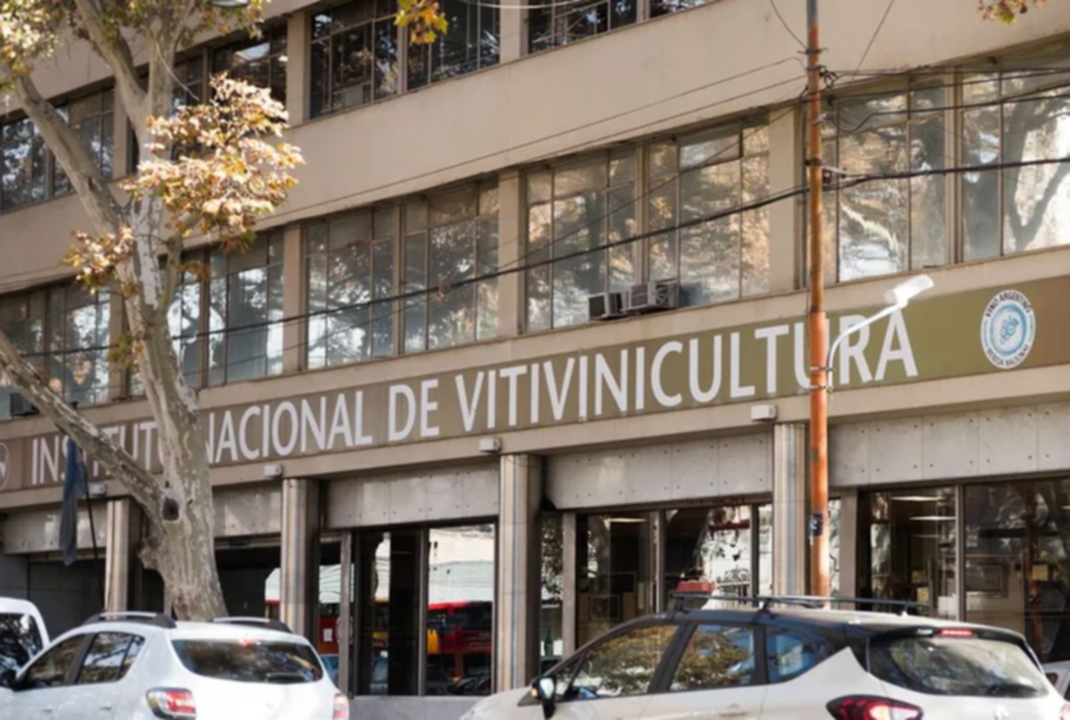 Motosierra para el Instituto Nacional de Vitivinicultura