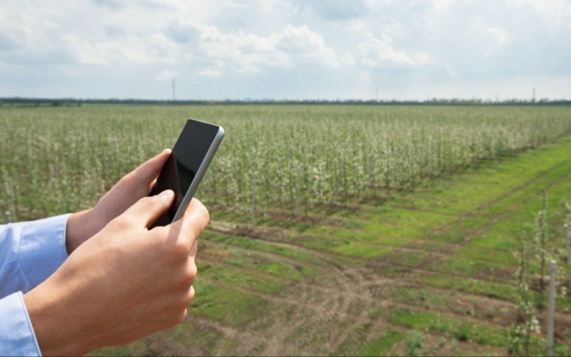 Google observa un "rearraigo" rural en Argentina y destaca al agro