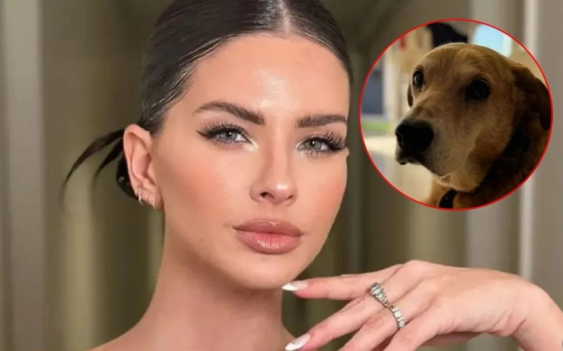 El triste final de Wet: murió la mascota de la China Suárez en un accidente en la casa de los sueños