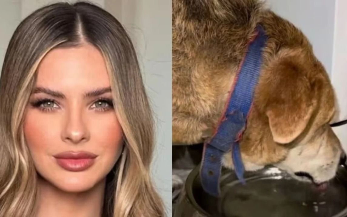 ¡Se armó! La China Suárez dijo que su perro no murió electrocutado y Yanina Latorre fue letal