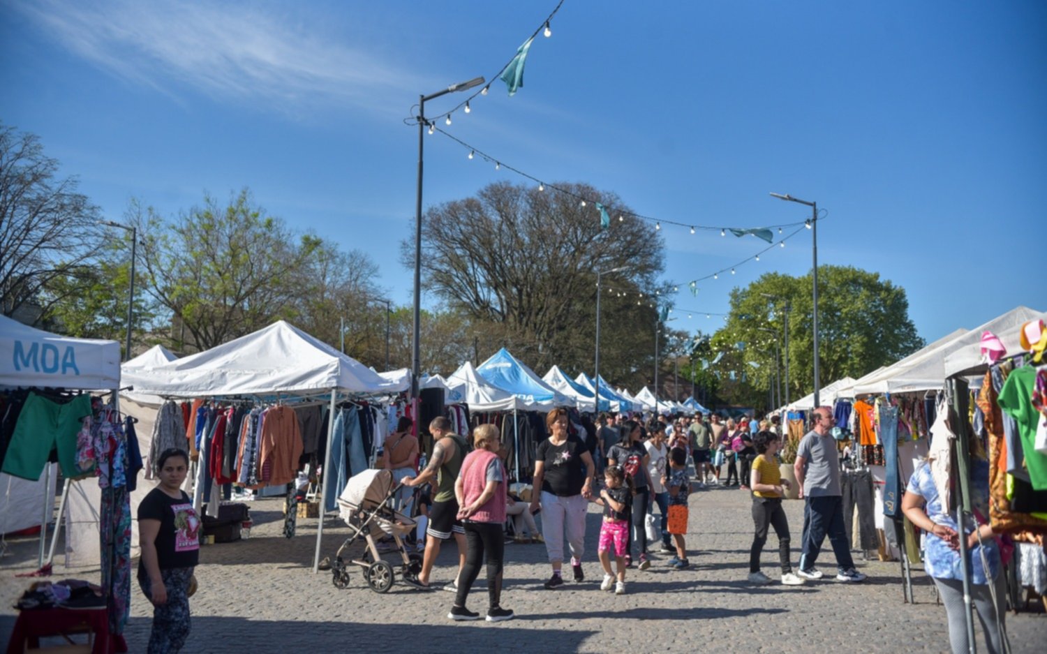 Fin de semana en la Estación Provincial: actividades gratuitas y para toda la familia