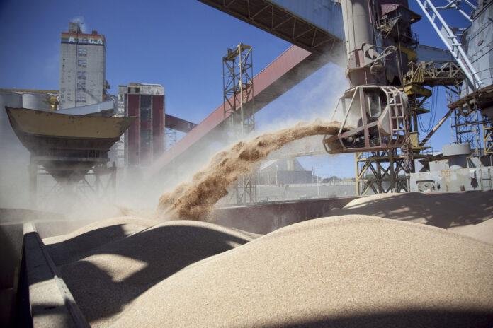 La principal exportación, con el precio por el piso