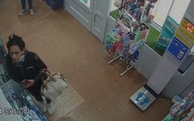 VIDEO.- Sin ruborizarse: así una mechera trans robó en una farmacia de La Plata "hasta lo que había de muestra"
