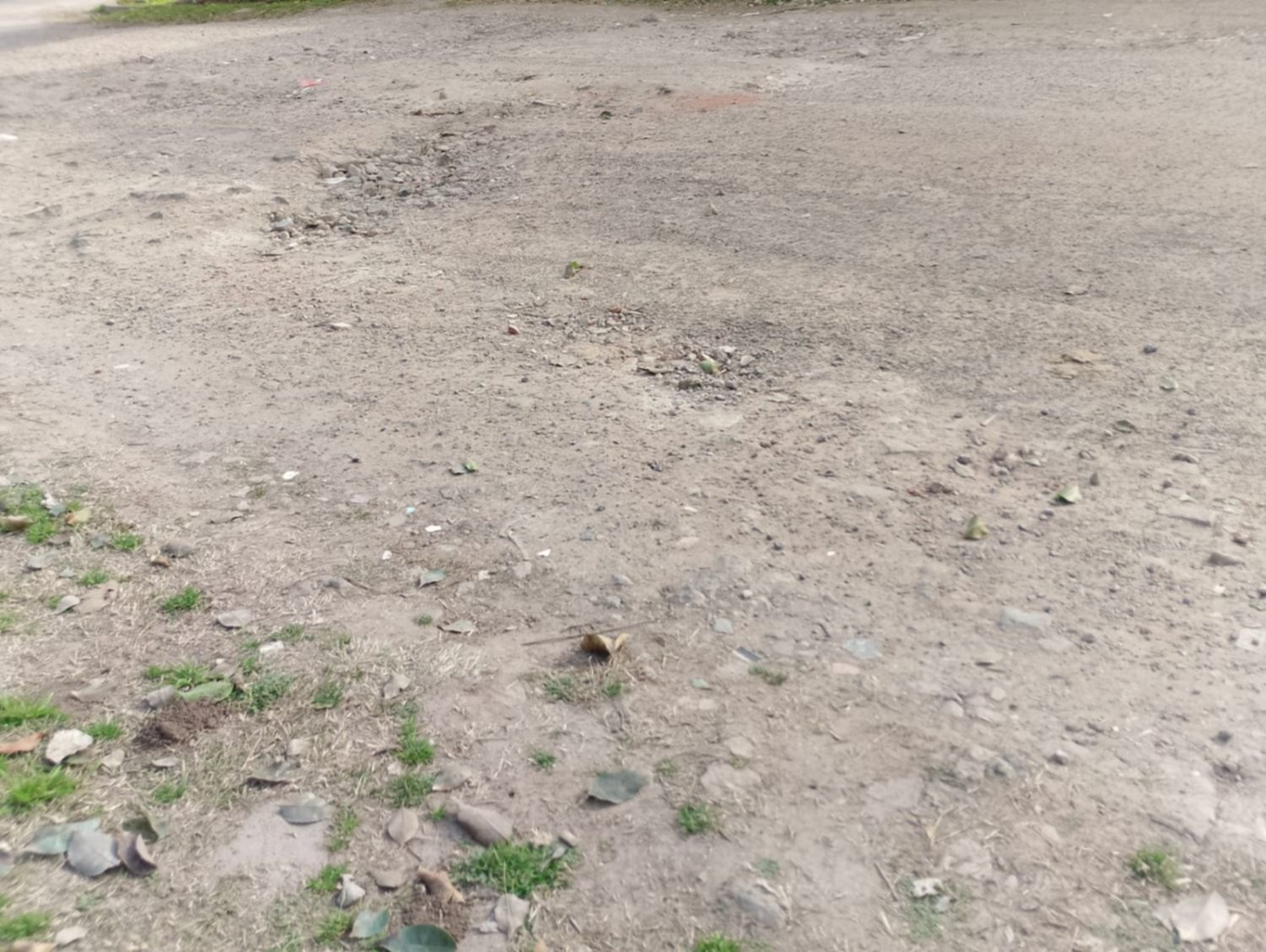 Vecinos de Los Hornos reclaman por el bacheo de una calle olvidada