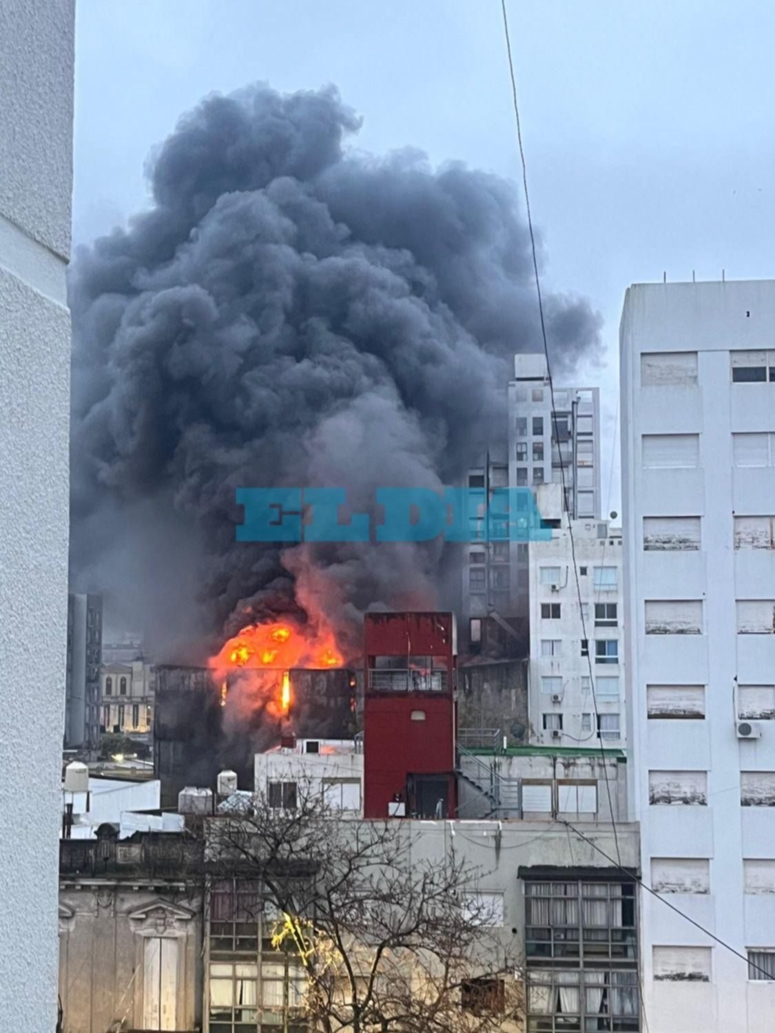 El fuego metió miedo en el centro de La Plata: fotos, videos y el dramático relato de los vecinos evacuados