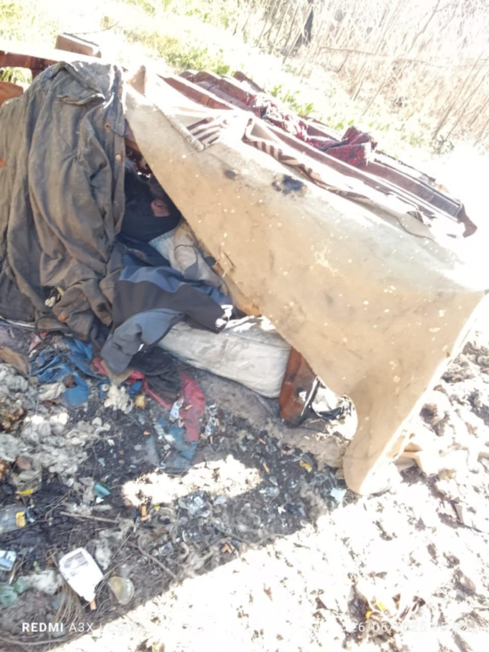 Del reclamo por la basura a la vida debajo de un sillón a punto de arder