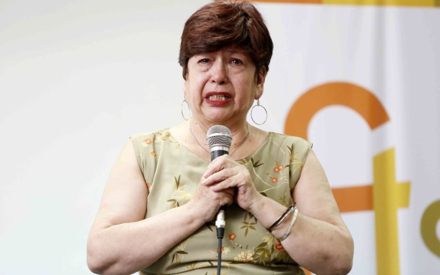 Una profesora de la UNLP, nominada al prestigioso premio internacional Katherine Kendall