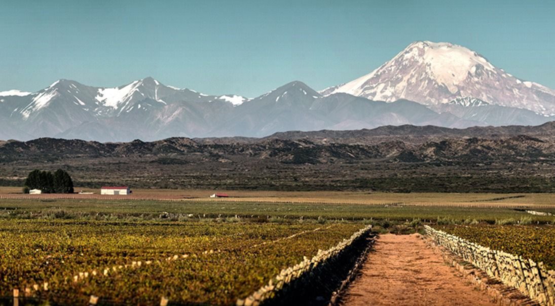 Nueva Indicación Geográfica en Mendoza