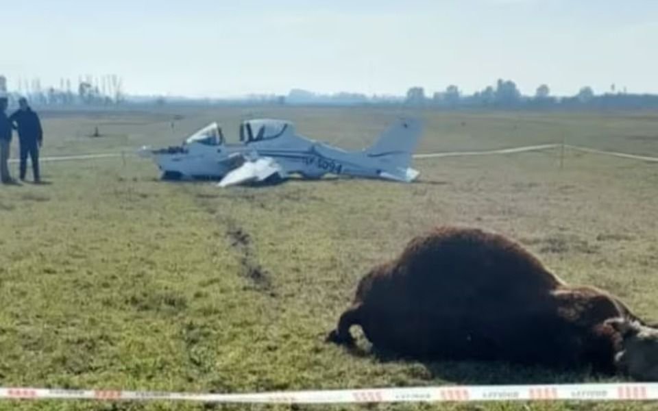 Insólito accidente en un campo bonaerense: avioneta se estrelló contra un toro