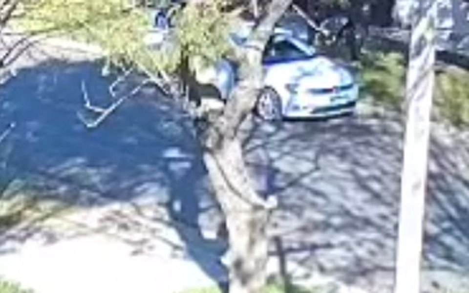 VIDEO. Golpe millonario de la banda del Golf blanco en La Plata: huyeron con dinero y electrodomésticos