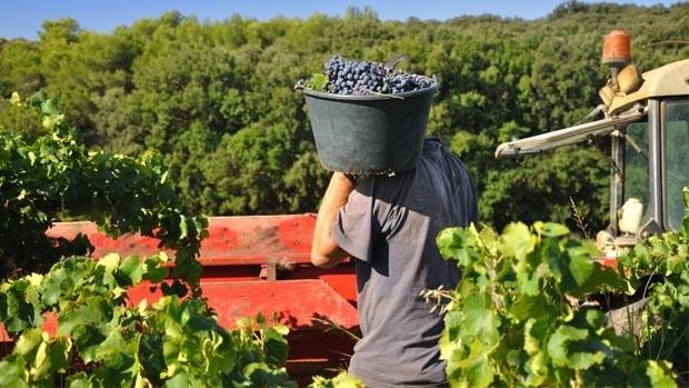 El acuerdo entre la UE y el Mercosur peligra por el lobby de Francia