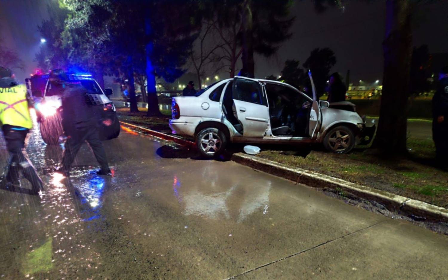 Un auto chocó contra un micro 202 y se estrelló contra un árbol en Berisso