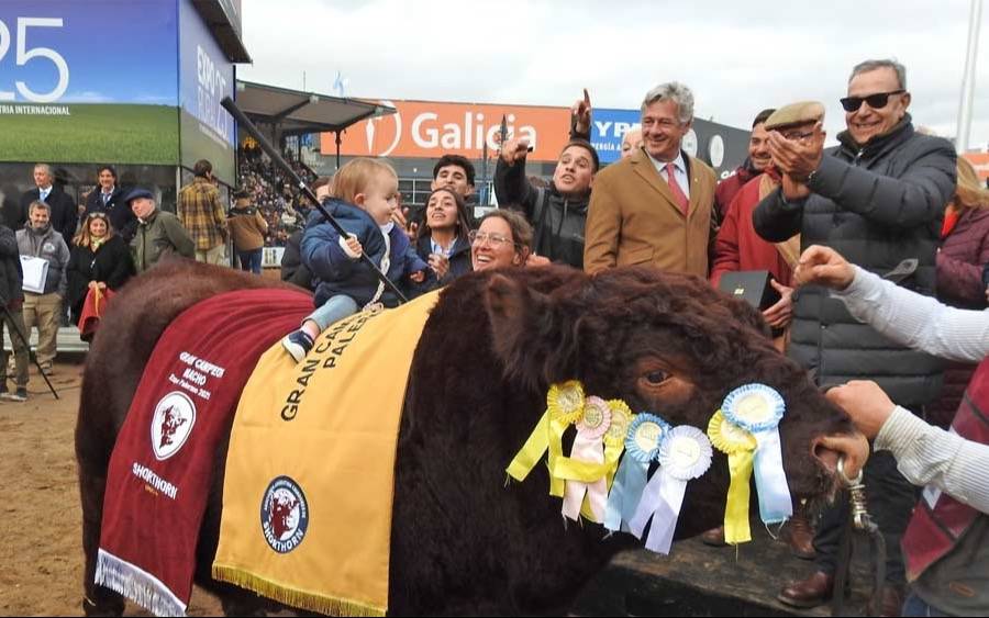 La Trinidad se llevó el Gran Campeón Macho Shorthorn en Palermo 2025